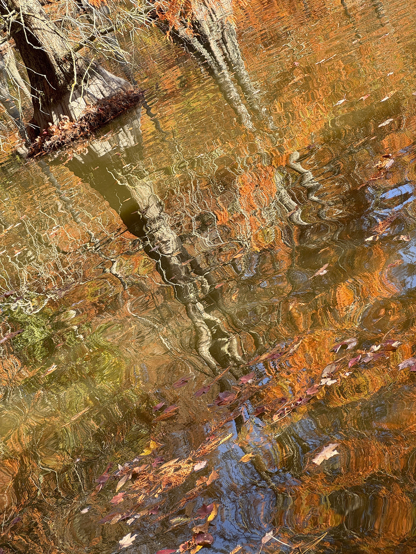 3rd PrizeAssigned Pictorial In Class 1 By Mark Houlday For Autumnal Reflection NOV-2024.jpg